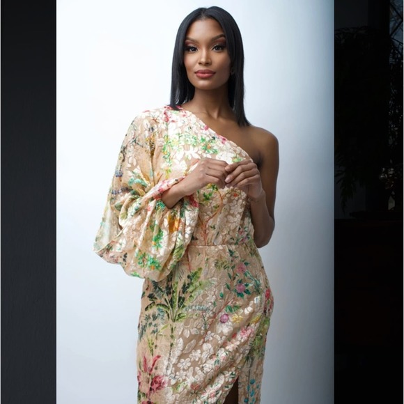 NWT HEMANT AND NANDITA Veena Dress in Nude Size Large One Shoulder Formal - Picture 2 of 14